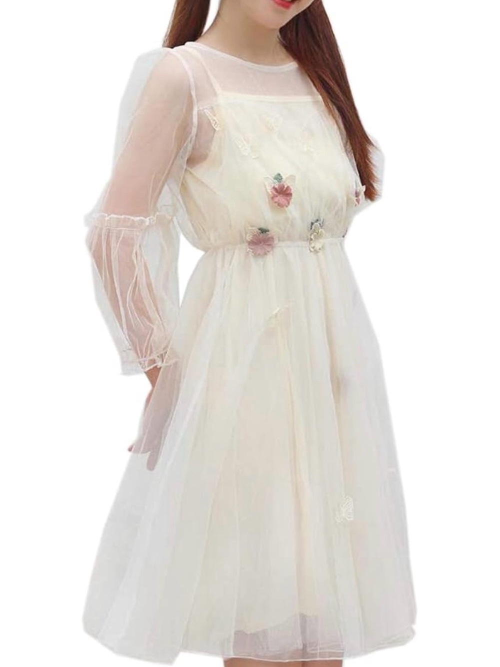Sheer Ivory Floral Embroidered A-Line Dress